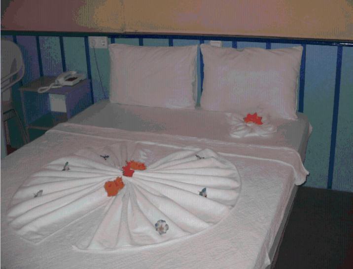 Pamukkale Hotel Didim Room photo